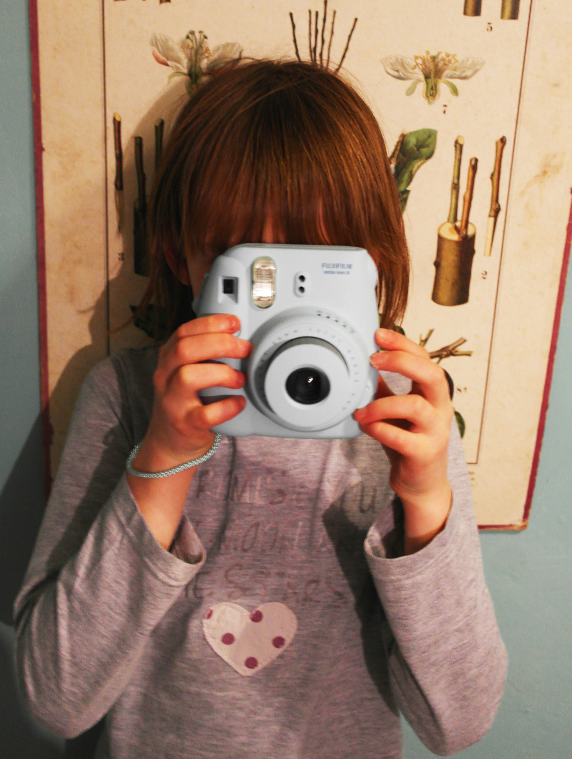 fuji instax