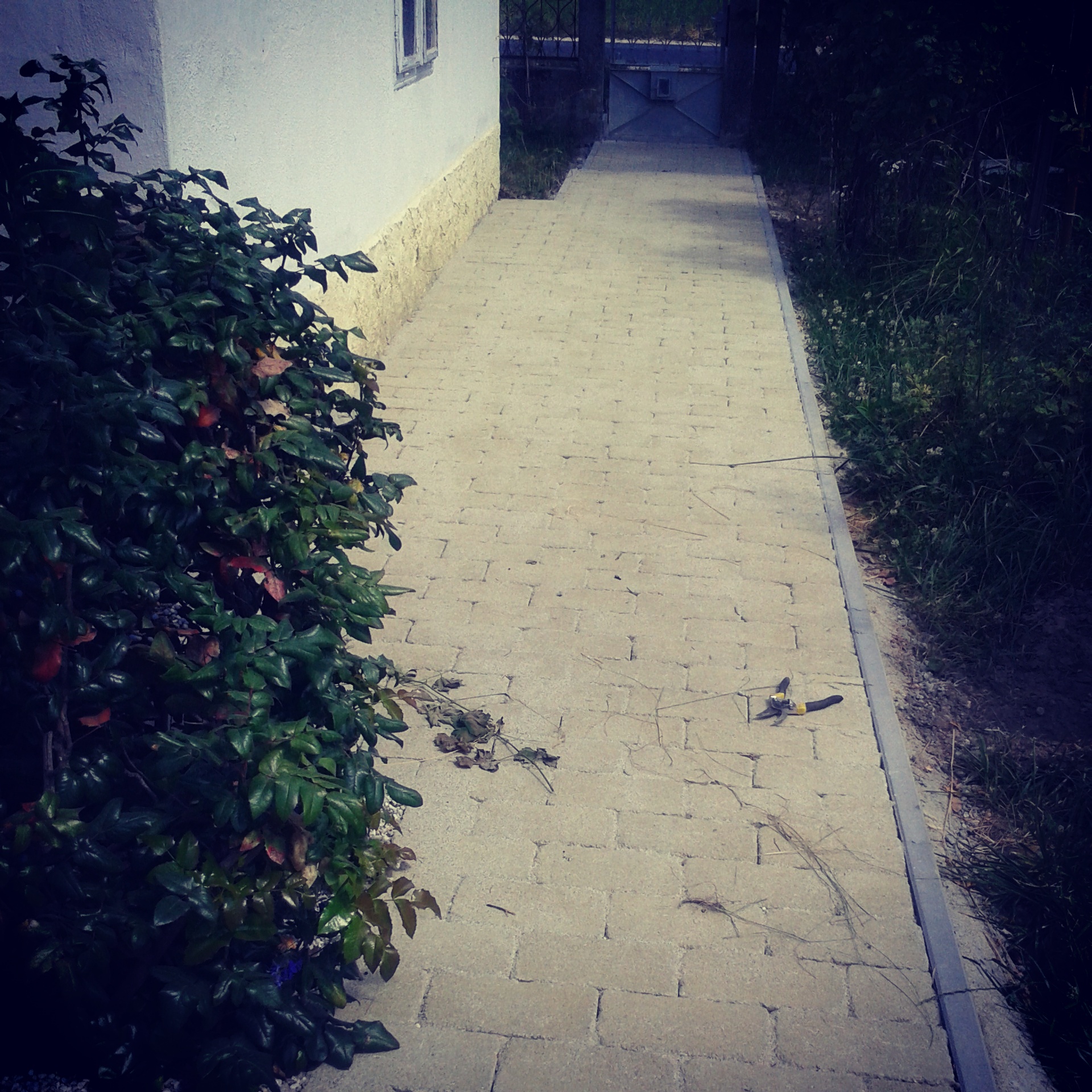 terrasse