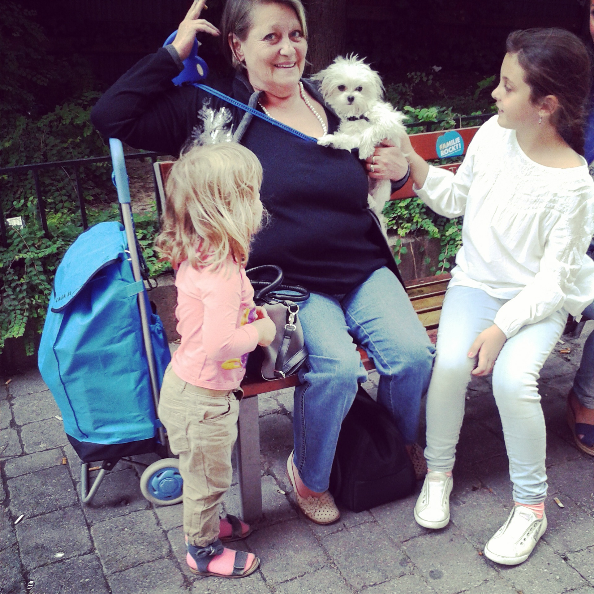 Kleiner Hund