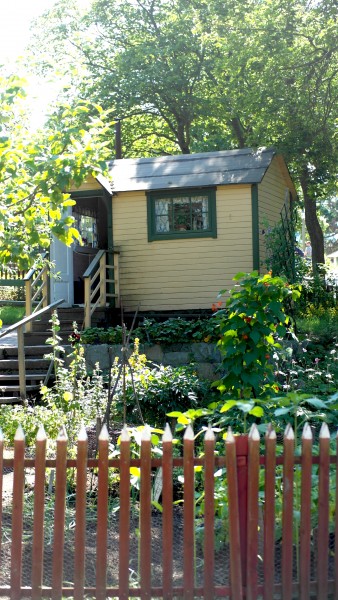 Schrebergarten