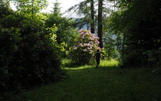 Corona Urlaub