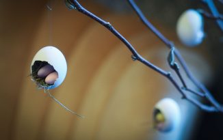 Willkommen im Wechsel! Menopause
