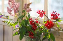 Was macht einen guten Urlaub aus? Sommerblumen